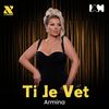 Ti je vet - Armina