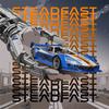 STEADFAST - Buri