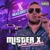 My Detroit Playaz (feat. Torrey Gray, K-Swift & Dad) (Explicit) - Mister X Hip-Hop&Torrey Gray&K-Swift&Dad