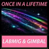 Once in a Lifetime - Labmig&Gimbal