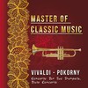 III. Allegretto - Stuttgart Chamber Orchestra&Karl Münchinger&Pierre Fournier