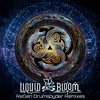 Resonant Migration (Drumspyder Remix) - Liquid Bloom&Deya Dova