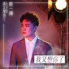 我又想你了 - 贺一航