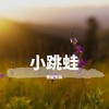 小跳蛙 - 青蛙乐队