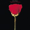 Amore (Reprise) - Umberto Rosario Balsamo