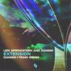 Extension (Danism + Train Extended Remix) - Lem Springsteen&Danism