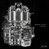Heal Them (Dub) - Brother Culture&Little Lion Sound&Mista Savona