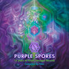 Purple Riot (Original Mix) - Psy-Mr.