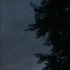 Try Me - Foxwedding