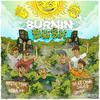 Burning Bush (No Ice Cream Sound Remix|Explicit) - Mystic Fyah&Indra MC&No Ice Cream Sound