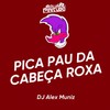 PICA PAU DA CABEÇA ROXA (Explicit) - DJ ALEX MUNIZ&Club Pirituba