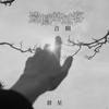 遗憾的过客 (女声版) - 李乐乐