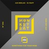Something for Your Mind - Jus Deelax&DJ Ruff