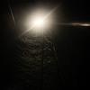 Light In The Dark - Eleusis