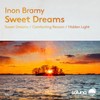 Comforting Reason - inon bramy