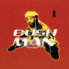 Black Sun (Album Version) - Bushman