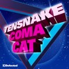 Coma Cat (Treasure Fingers Remix) - Tensnake