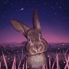 Outta Your League (Explicit) - Moonlander&Nic D