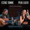 Bird's Teardrops (Live) - Estas Tonne&Peia