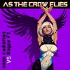 As The Crow Flies - neon radiation&Rogue FX