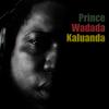 Madiba (feat. Kool Klever & Baba Soul) - Prince Wadada&Kool Klever&Baba Soul