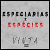 Especiarias e Espécies - Vinta