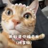 我知道你暗恋我 (纯享版) - 秃头少女