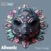 Sonic Voyage - Allwardz