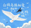 白鸽乌鸦相爱的戏码 - lay