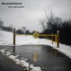 Bloodstream (feat. Mista Dent) (Explicit) - The Quon&Mista Dent