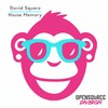 Apocalypse Suite (Original Mix) - David Square