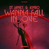 Wanna Fall In Love - DT James&Kimbo&Duncan Townsend