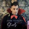Shab - Amir Tataloo&Ardalan Tomeh