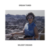 Wildest Dreams - Dream Tunes