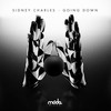 Hurricane - Sidney Charles