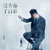 没有你了以后 (伴奏) - 段炼