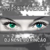 Foi Sem Querer - Dj Nenê Do Rincão