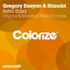 Astro Ibiza (Original Mix) - Gregory Esayan&Shinobi