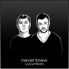 Never Knew (Original Mix) - Cucumbers