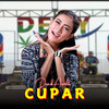 Cupar - Denik Armila