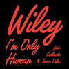 I'm Only Human - Wiley&Cashtastic&Tereza Delzz