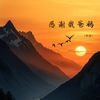 感谢我爸妈 - 林施