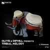 Mitribu - Olivs&Diphill&Tribal Melody