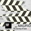The Journey of Souls 432Hz (Original Mix) - Maurid