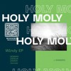 Windy (Diereva remix) - Holy Moly&Diereva