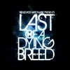 Last of a Dying Breed Mix (Mixed by Raiden|Bonus Track) - Raidén