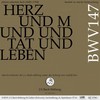 VII. Arie (Tenor) Hilf, Jesu, hilf, daß ich auch dich bekenne (Live) - Rudolf Lutz&Chor der J.S. Bach-Stiftung&Orchester der J.S. Bach-Stiftung&Jakob Pilgram