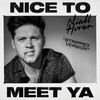 Nice To Meet Ya (Stripped Version) - Niall Horan