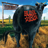 Apple Shampoo (Explicit) - Blink-182