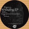 081091 (Archie Hamilton & Patrice Meiner Remix) - Ferro&Archie Hamilton&Patrice Meiner